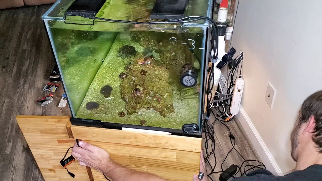 Sump Setup/Overhaul 40 Gallon Breeder Nano Reef Tank YouTube
