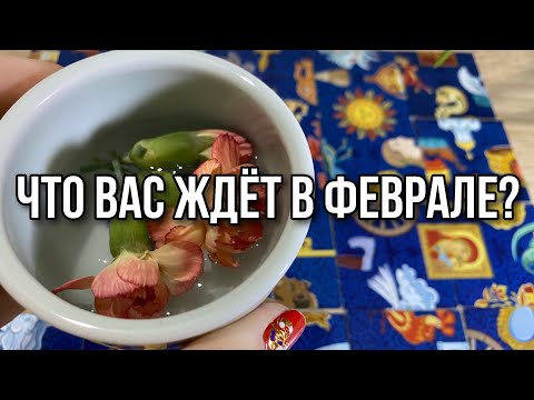 Что вас ждёт в феврале? Гадание пасьянс расклад онлайн на февраль