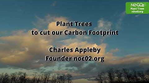 Plant Trees to cut our Carbon Footprint