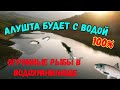 Крым.ИЗОБИЛЬНЕНСКОЕ(АЛУШТИНСКОЕ) водохранилище.Приход ПРЕВЫШАЕТ расход.Идёт НАПОЛНЕНИЕ вдхр.