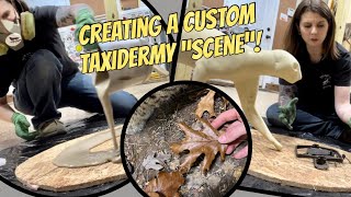 Building a custom taxidermy habitat scene for a bobcat!