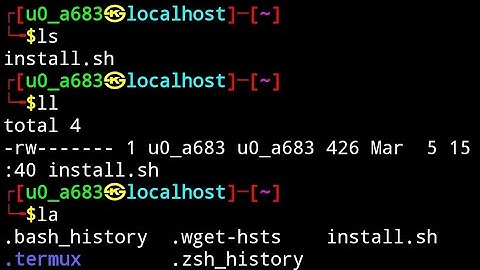 install #zsh custom #theme in #termux