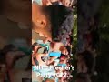 Aaravam 2022  day 2 freshers party nitcalicut hostellife fresher intro nitc kerala