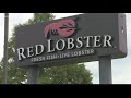 Red Lobster has filed for Chapter 11 bankruptcy