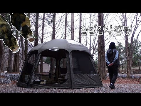 YouTube पर 고양이와 강아지 다 있는 캠핑｜동물 농장 찍고 온 사연｜몸보신 하러 가서 집사만 하고 왔다｜솔로캠핑｜영월 보보스캇 캠핑장 देखें