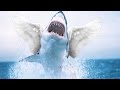 STANLEY PARABLE + FLYING SHARKS | SAAAM