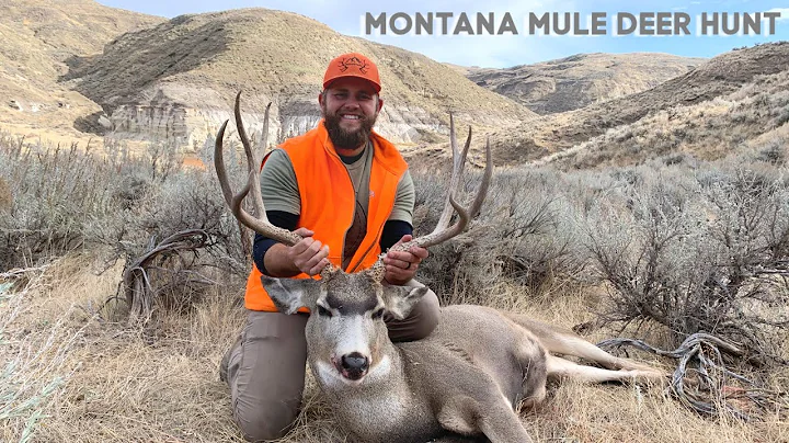 MONTANA GENERAL SEASON MULE DEER HUNT: MATURITY SE...