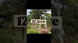 🌱 Passive Income Farm Land for Sale | 600 Coconut + 1600 Lemon Trees 🍋 | Madurai