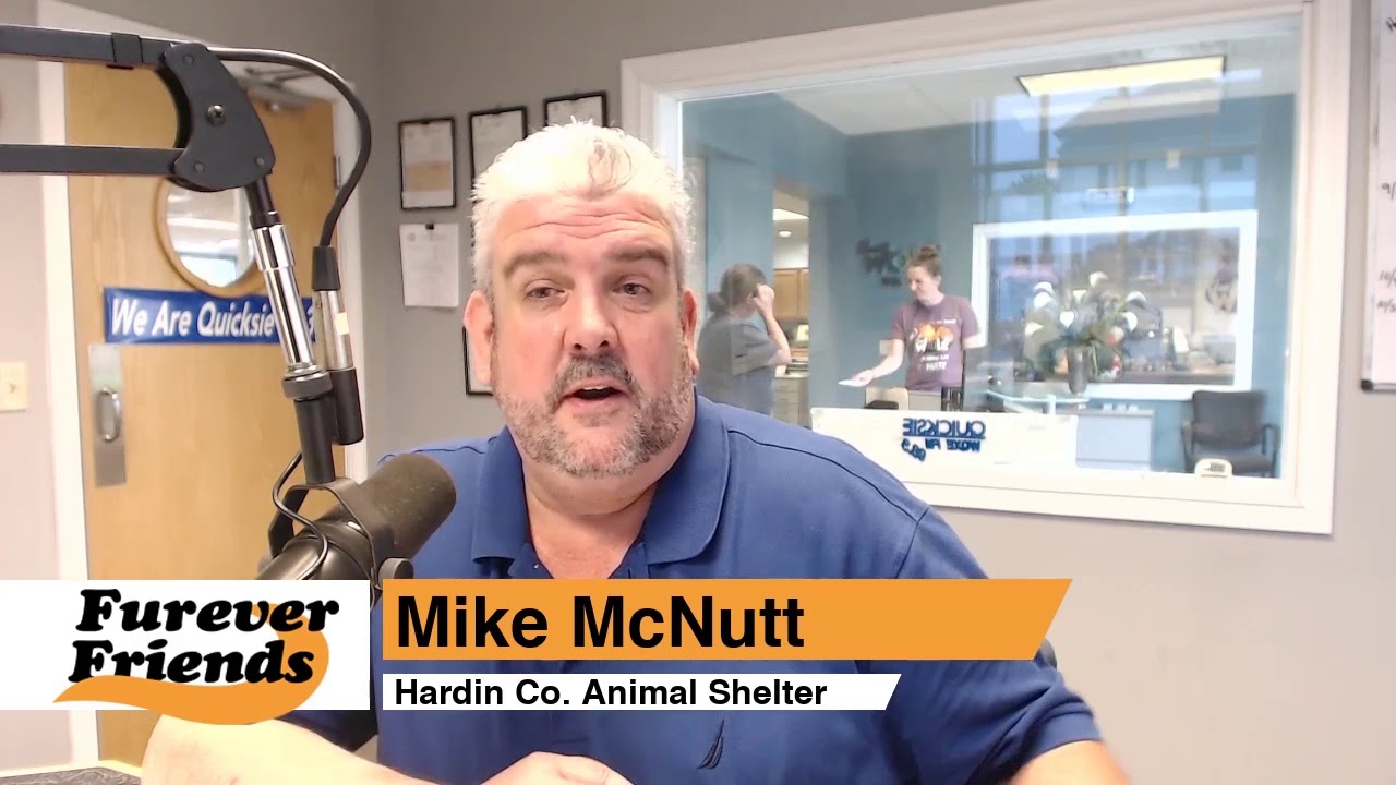 Furever Friends YouTube