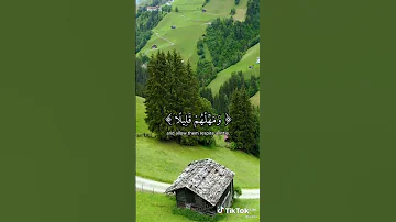 ماهر المعيقلي قرآن كريم مقاطع تيك توك 