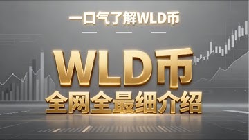 一口气彻底搞懂WLD深度解析：数字身份革命与投资价值分析   |  WLD 是什么币？