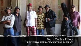 Video thumbnail of "Cover Story Doo-Wop - "Tears On My Pillow (Street Artists Series)"