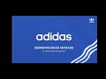 segmentacion de mercado ADIDAS