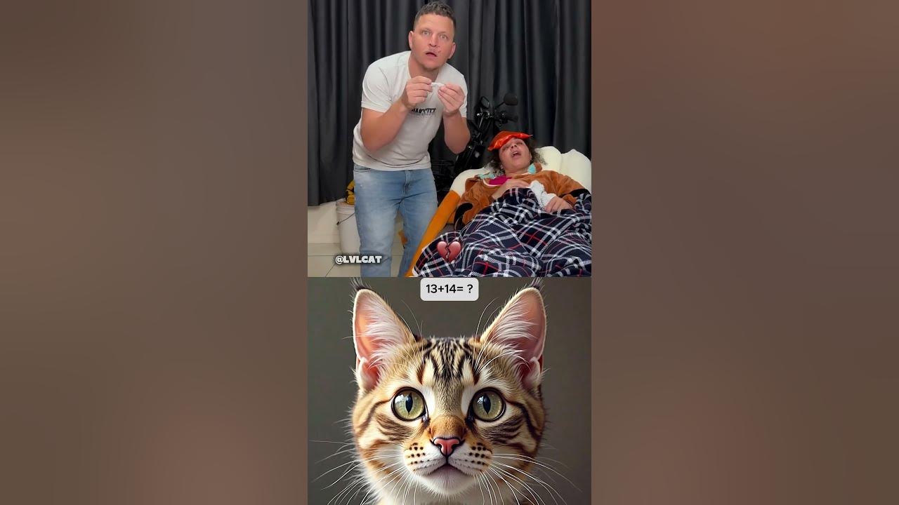 i'm the patient now🤣 #cat #meme #dance #trending