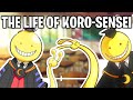 The Life Of Koro-Sensei (Assassination Classroom)