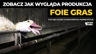 Jak powstaje foie gras? Pracownik fermy gęsi ujawnia okrutne praktyki