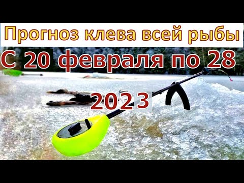 Прогноз клева на эту неделю с 20 по 28 февраля 2023. Лунный календарь рыбака на февраль 2023.