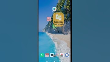 Whatsapp Text Translate Floating Icon