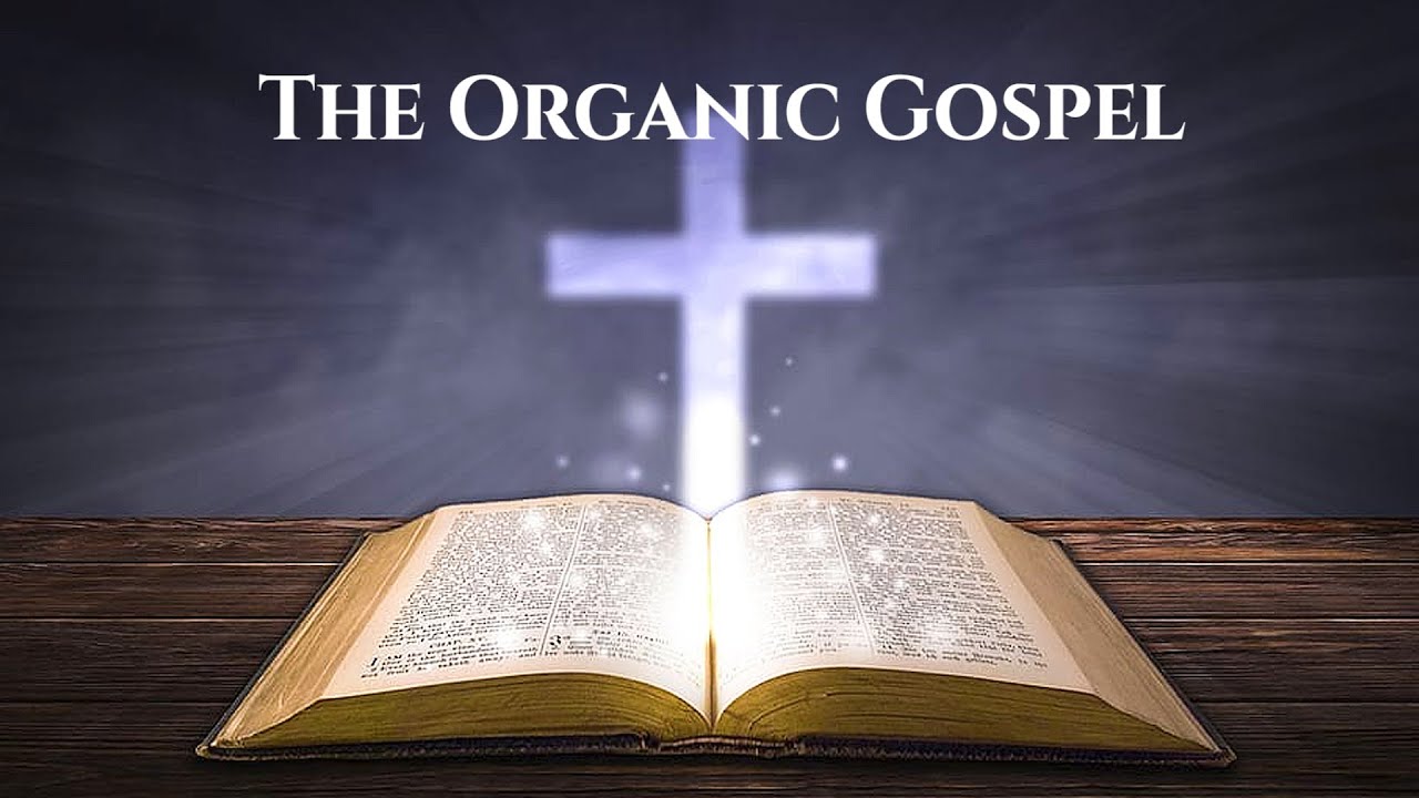 Homily for 11th Sunday in Ordinary Time | Year B | June 16, 2024 | THE ...