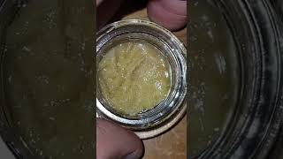Wilson zero live rosin