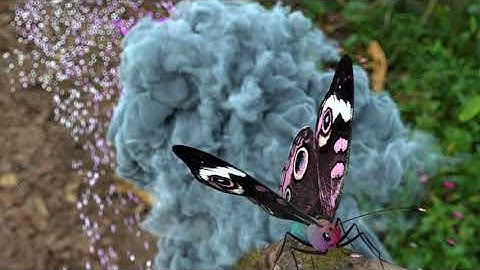 Houdini Animation - Butterfly (KineFX and Vellum)