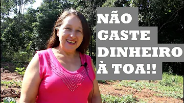 Como se forma a semente da cenoura?