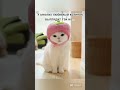 I love you kitty @Моні-х8ш #shorts #roblox #cat # love #мони #роблокс #обработка #люблю #коты