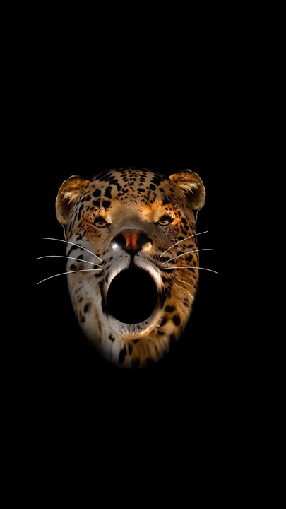 kekkano priya #love#songs #lifeisbutadream #love #shortsfeed#kelkano