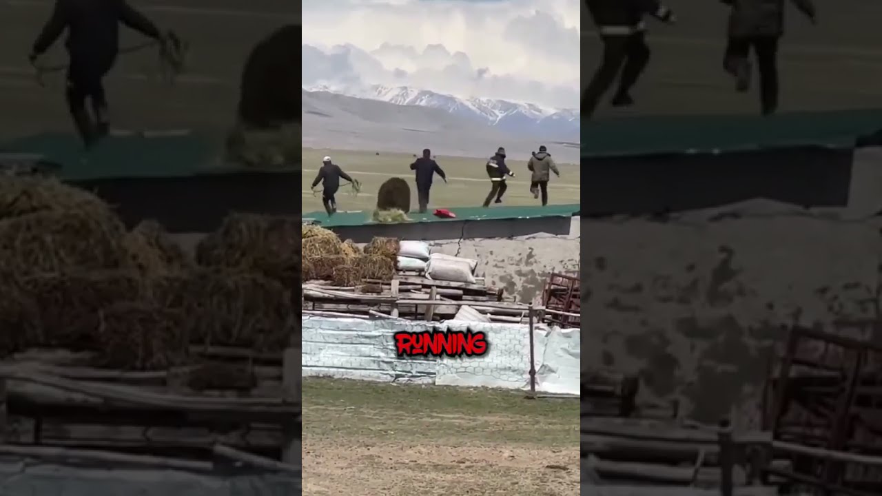 Grizzly Bear Chases Men ON TOP OF THE ROOF