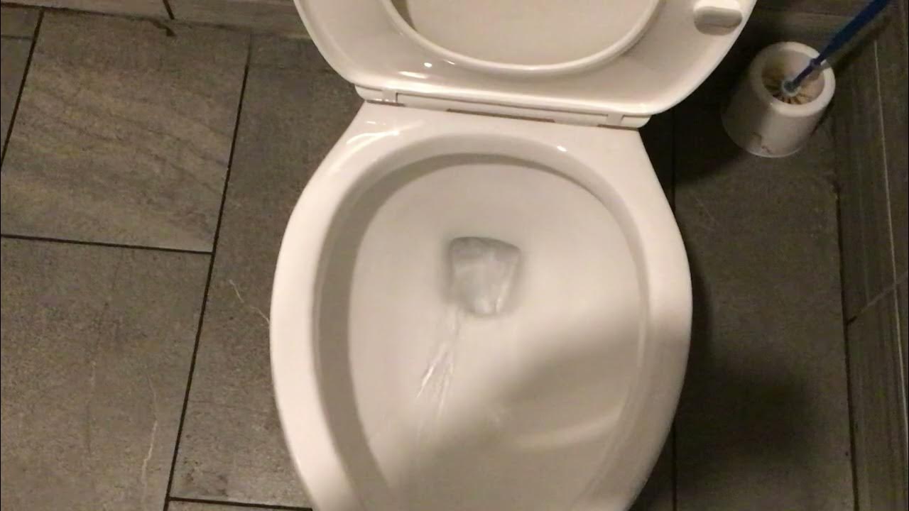 2020 Delta Foundations Toilet YouTube