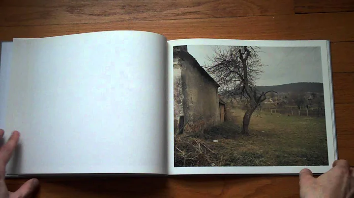 Presenting Beyond the Forest by Clare Richardson