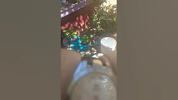 Откуда вода в Ейске