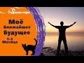 МОЁ БЛИЖАЙШЕЕ БУДУЩЕЕ 1-3 месяца. ГАДАНИЕ НА ТАРО. Ника Таро.