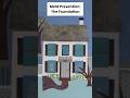 Mold Prevention: The Foundation