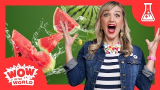 Exploding Watermelons? Mindys Laboratory Of Bad Ideas Science Experiments For Kids