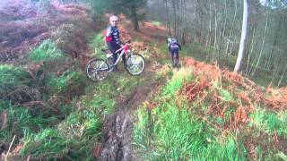 Curuxos de Aviles por el guello