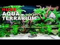 NATURAL INDOOR FOREST Cinematic Special ᴴᴰ || 75 GALLON Aqua Terrarium / Paludarium