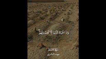 وما الحياة الدنيا إلا لعب ولهو | سورة الأنعام | مهند البشري