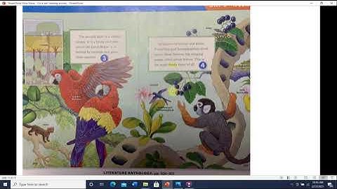 English Literature Anthology Rain Forest