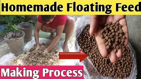 Floating fish feed making process | बाजार जैसा floating fish feed घर में  कैसे बनाये ।