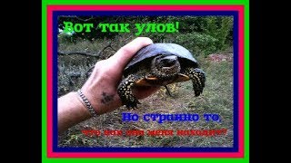 Вот так улов! Но как она меня находит? И какая без неё рыбалка?