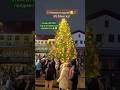 С Новым 2025 годом Живая ЁЛКА Минск сейчас👍🎄 #новыйгод#belarus#minsk#georgia#ბათუმი#ретро#москва