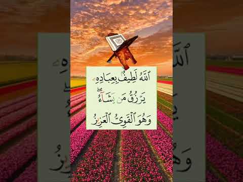 الل ه ل ط يف ب ع ب اد ه ي ر ز ق م ن ي ش اء و ه و ال ق و ي ال ع ز يز