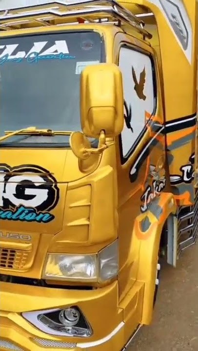 Modifikasi truk canter 60 Juta bak   variasi minimalis