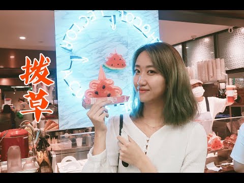 网红西瓜冰淇淋拔草+一只小小的王若琳音乐会vlog~