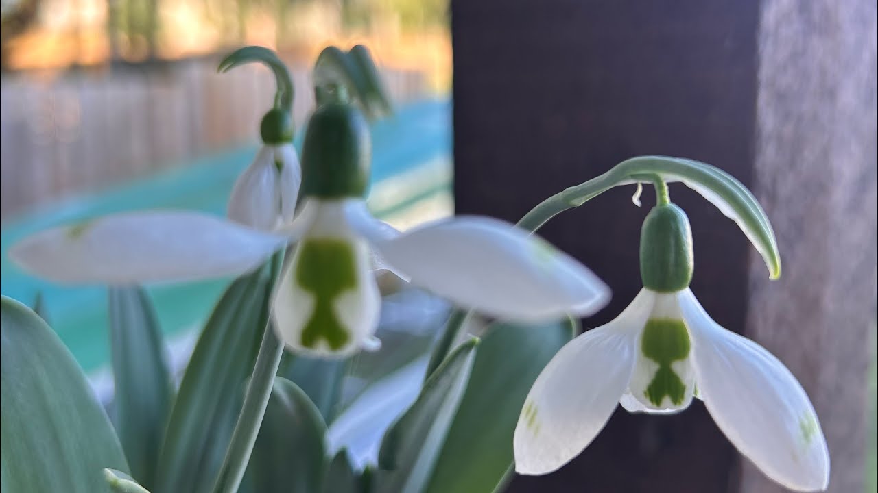 Synchronizing with Rest - take a hike Guilt 