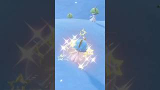 Shiny Ralts #pokemon #shinypokemon #shorts #pokemonscarletandviolet #shinyhunting