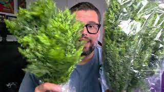24” Artificial Cypress Topiary Review 👀#unboxing #trending #review