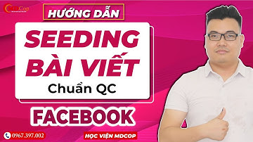 Hướng dẫn seeding bài viết chuẩn quảng cáo Facebook