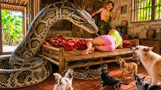 72 Hours No Escape: Giant Python Ambushes Girl While Sleeping | What Happens Next Is Scary!